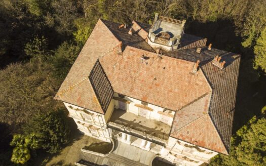 HISTORIC VILLA WITH PARK LAKE CANDIA